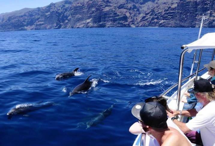 Apartamento Incleibles Vistas Al Oceano Y Piscina. Acantilado de los Gigantes Екстериор снимка